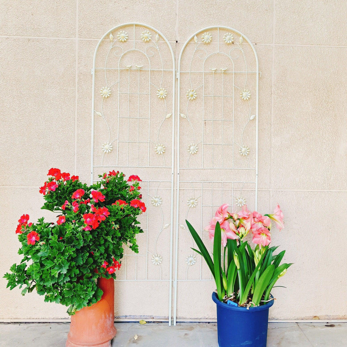 Metal Garden Trellis Rustproof Trellis For Climbing Plant Outdoor Flower Support - Furniture Home Direct