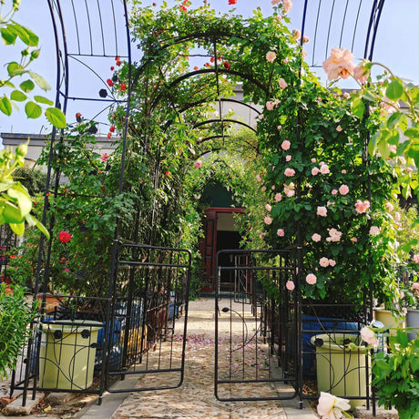 Metal Garden Arch With Gate Wide High Climbing Plants Support Rose Arch Outdoor - Black - Furniture Home Direct