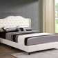 Upholstered Velvet Bed Transitional - Furniture Home Direct