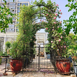 Metal Garden Arch With Gate High Climbing Plants Support Rose Arch Outdoor - Black - Furniture Home Direct