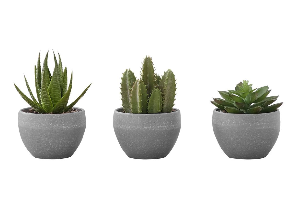 6" Tall, Artificial Plant, Succulent, Indoor, Faux, Fake, Table, Greenery, Potted, Decorative (Set of 3) - Green / Gray - Furniture Home Direct