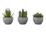 6" Tall, Artificial Plant, Succulent, Indoor, Faux, Fake, Table, Greenery, Potted, Decorative (Set of 3) - Green / Gray - Furniture Home Direct