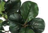 47" Tall, Artificial Plant, Fiddle Tree, Indoor, Fake, Floor, Greenery, Potted, Real Touch, Decorative - Green / Black - Furniture Home Direct