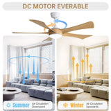 Modern Ceiling Fan With 22W LED Light And Remote Control 5 ABS Blades For Living Room - Furniture Home Direct