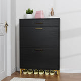 Shoe Storage Cabinet with 2 Flip Drawers - Black - Furniture Home Direct
