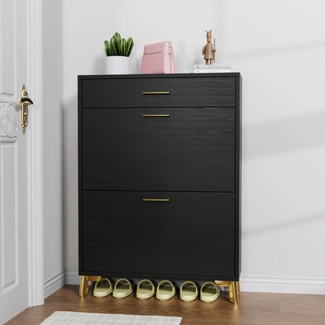 Shoe Storage Cabinet with 2 Flip Drawers - Black - Furniture Home Direct