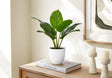 17" Tall, Artificial Plant, Aureum, Indoor, Faux, Fake, Table, Greenery, Potted, Real Touch, Decorative - Green / White - Furniture Home Direct
