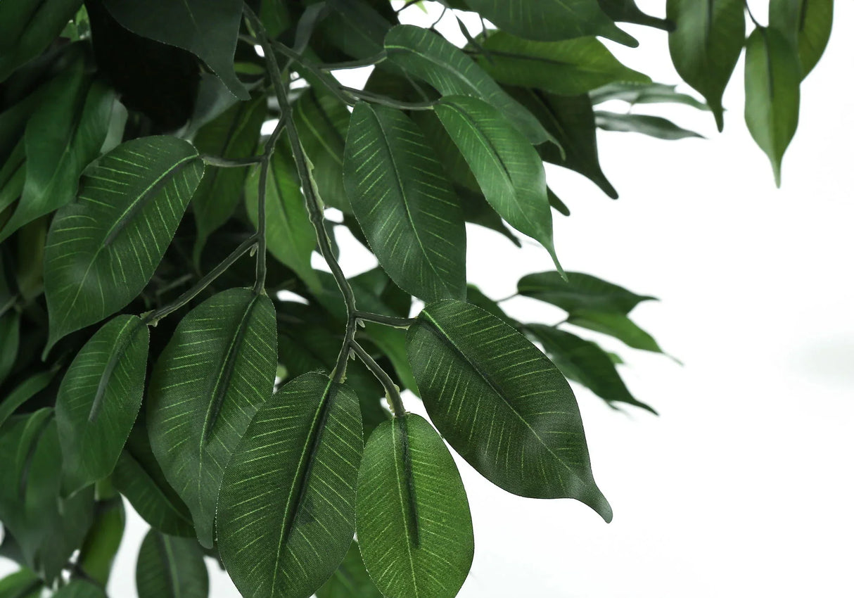 58" Tall, Artificial Plant, Ficus Tree, Indoor, Faux, Fake, Floor, Greenery, Potted, Decorative - Green / Black - Furniture Home Direct