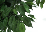 58" Tall, Artificial Plant, Ficus Tree, Indoor, Faux, Fake, Floor, Greenery, Potted, Decorative - Green / Black - Furniture Home Direct
