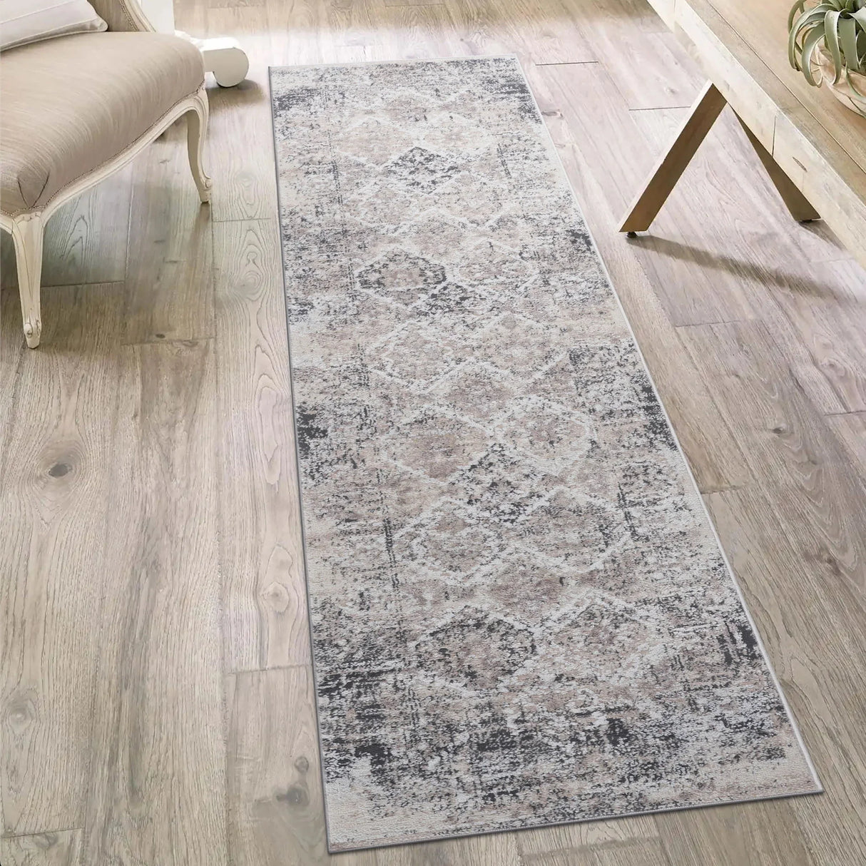Payas - Traditional Area Rug - Furniture Home Direct