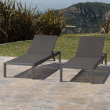 Chaise Lounge Set Of 2 - Gray - Furniture Home Direct