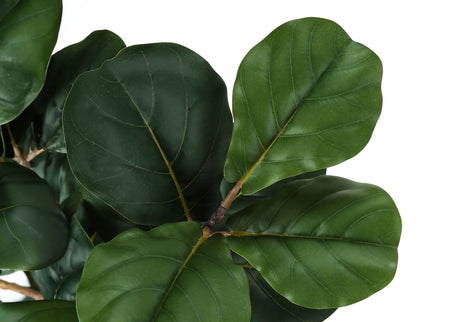32" Tall, Artificial Plant, Fiddle Tree, Indoor, Faux, Fake, Floor, Greenery, Potted, Real Touch, Decorative - Green / Black - Furniture Home Direct