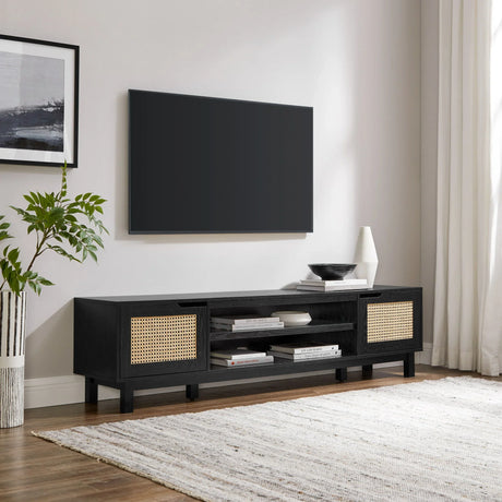Modern Rattan Door Low TV Stand For TVs Up To 80" - Black - Furniture Home Direct