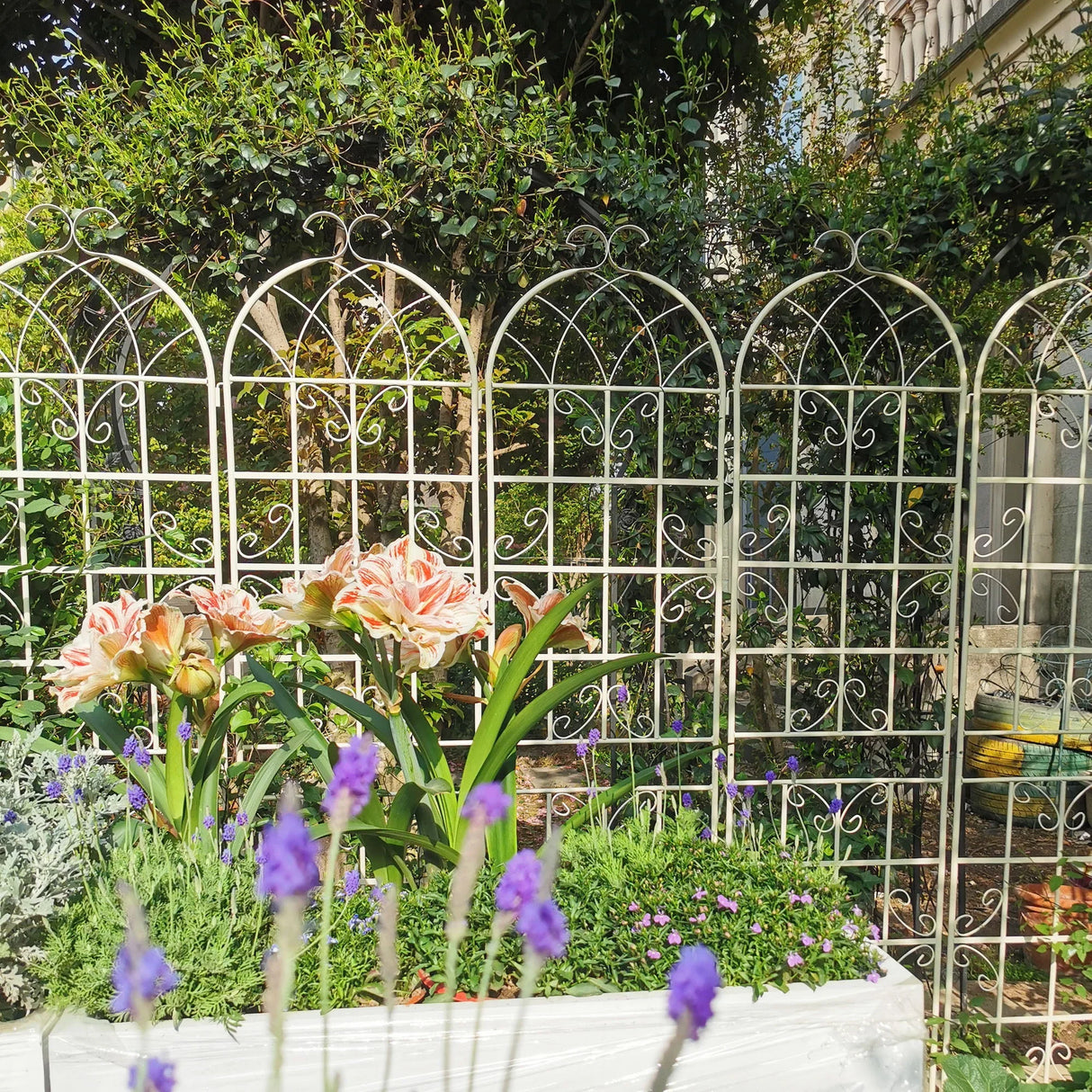 Metal Garden Rustproof Trellis For Climbing Plants Outdoor Flower Support - Furniture Home Direct