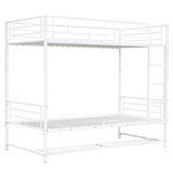 Metal Bunk Bed & Shelf And Guardrails - Furniture Home Direct
