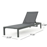 Chaise Lounge Set Of 2 - Gray - Furniture Home Direct
