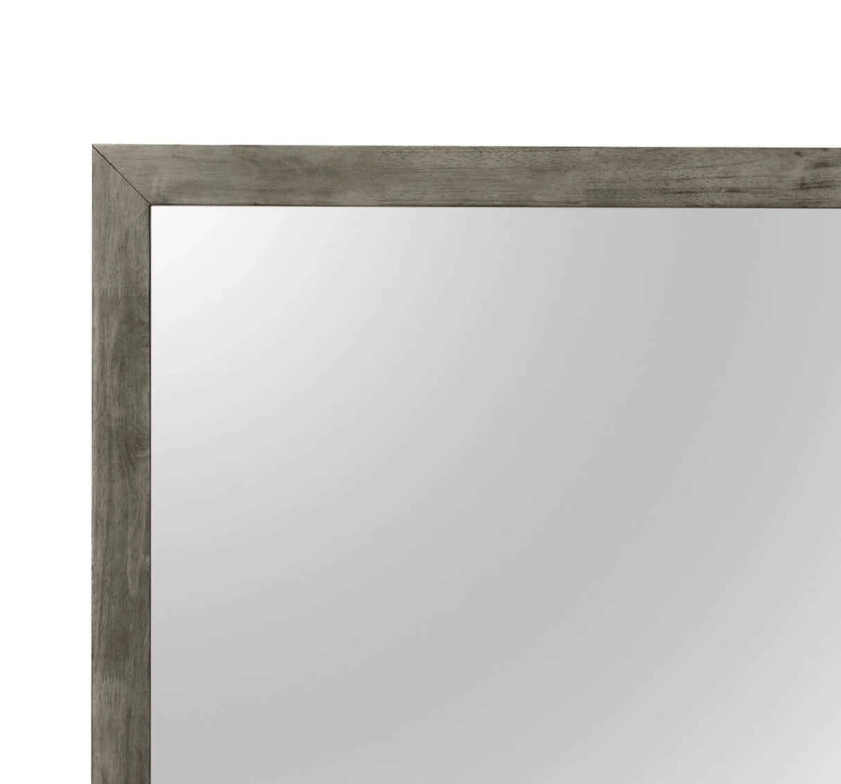 Modern Design Transitional Wall Mirror - Furniture Home Direct