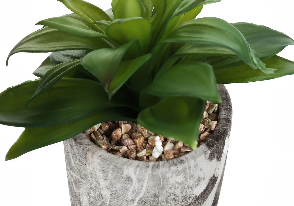 6" Tall, Artificial Plant, Succulent, Indoor, Faux, Fake, Table, Greenery, Potted, Decorative (Set of 2) - Green / Gray - Furniture Home Direct