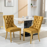 Nikki - Modern, High-End Tufted Solid Wood Contemporary Velvet Upholstered Dining Chair With Golden Stainless Steel Plating Legs, Nailhead Trim (Set of 2) - Furniture Home Direct