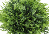 5" Tall, Artificial Plant, Grass, Indoor, Faux, Fake, Table, Greenery, Potted, Decorative (Set of 3) - Green / Gray - Furniture Home Direct
