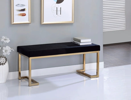 Boice - Bench - Black - Furniture Home Direct