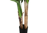 55" Tall, Artificial Plant, Banana Tree, Indoor, Faux, Fake, Floor, Greenery, Potted, Real Touch, Decorative - Green / Black - Furniture Home Direct