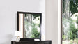 Modern Design Transitional Wall Mirror - Furniture Home Direct