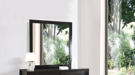 Modern Design Transitional Wall Mirror - Furniture Home Direct