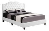 Upholstered Velvet Bed Transitional - Furniture Home Direct