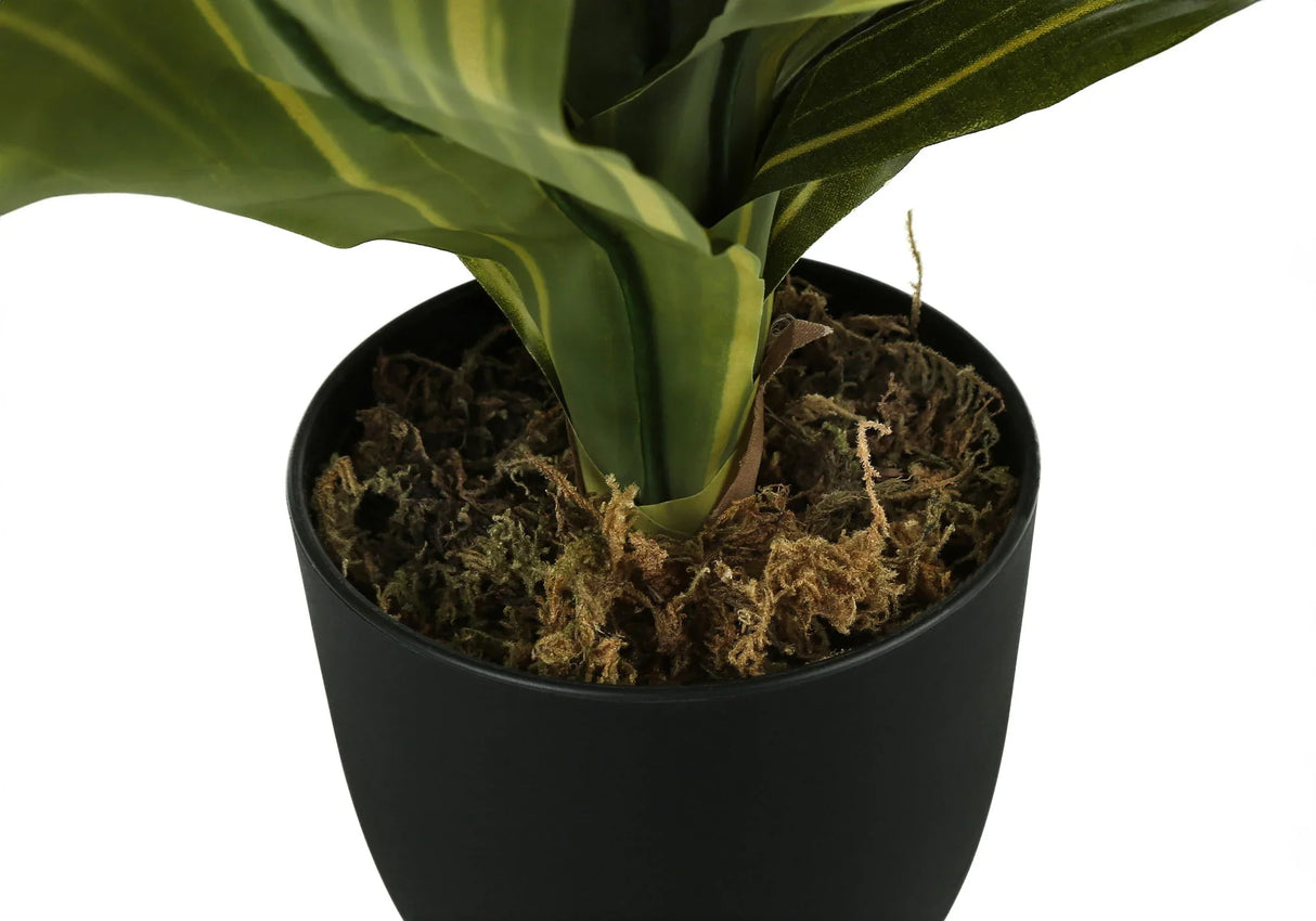 17" Tall, Artificial Plant, Dracaena, Indoor, Faux, Fake, Table, Greenery, Potted, Real Touch, Decorative - Green / Black - Furniture Home Direct