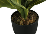 17" Tall, Artificial Plant, Dracaena, Indoor, Faux, Fake, Table, Greenery, Potted, Real Touch, Decorative - Green / Black - Furniture Home Direct
