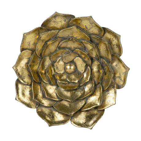 Succulent Wall Plaque Resin - Furniture Home Direct