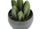 6" Tall, Artificial Plant, Succulent, Indoor, Faux, Fake, Table, Greenery, Potted, Decorative (Set of 3) - Green / Gray - Furniture Home Direct