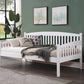 Caryn - Daybed, Stylish - Furniture Home Direct