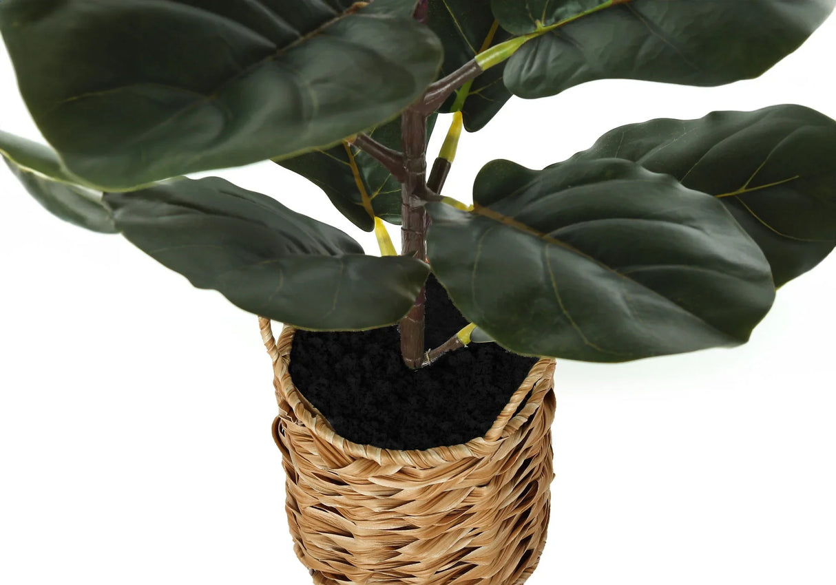 28" Tall, Artificial Plant, Fiddle Tree, Indoor, Faux, Fake, Floor, Greenery, Potted, Real Touch, Decorative - Green / Beige - Furniture Home Direct