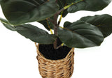 28" Tall, Artificial Plant, Fiddle Tree, Indoor, Faux, Fake, Floor, Greenery, Potted, Real Touch, Decorative - Green / Beige - Furniture Home Direct