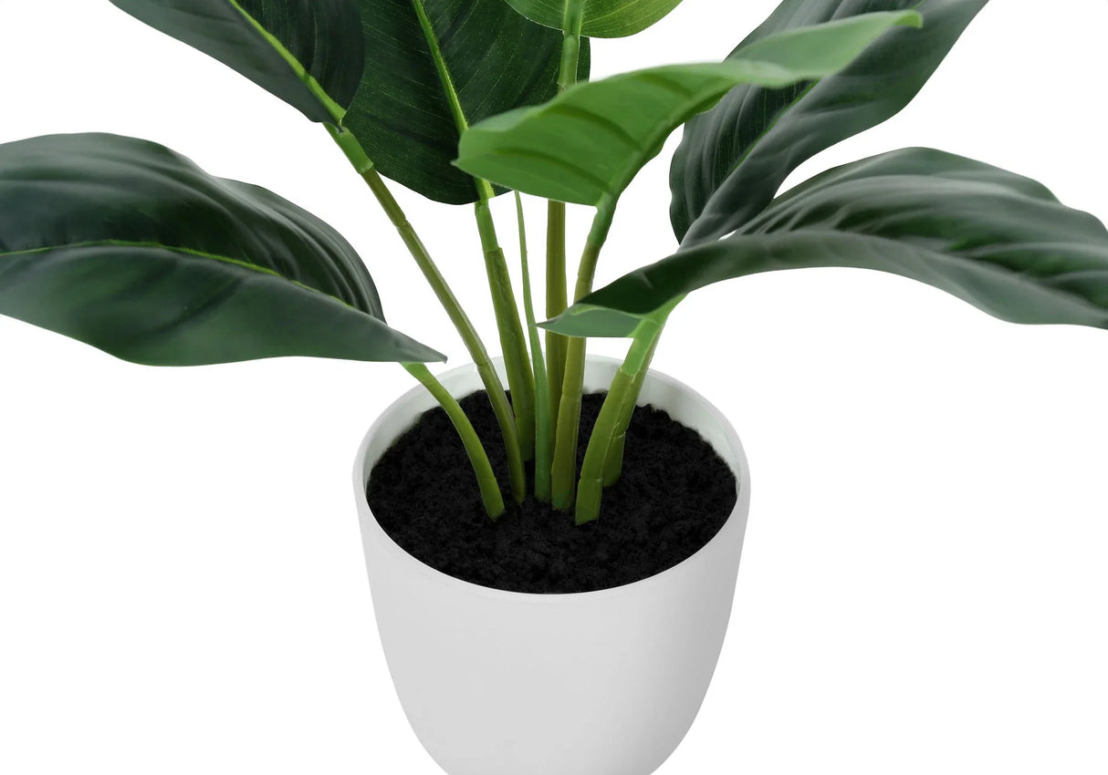 17" Tall, Artificial Plant, Aureum, Indoor, Faux, Fake, Table, Greenery, Potted, Real Touch, Decorative - Green / White - Furniture Home Direct