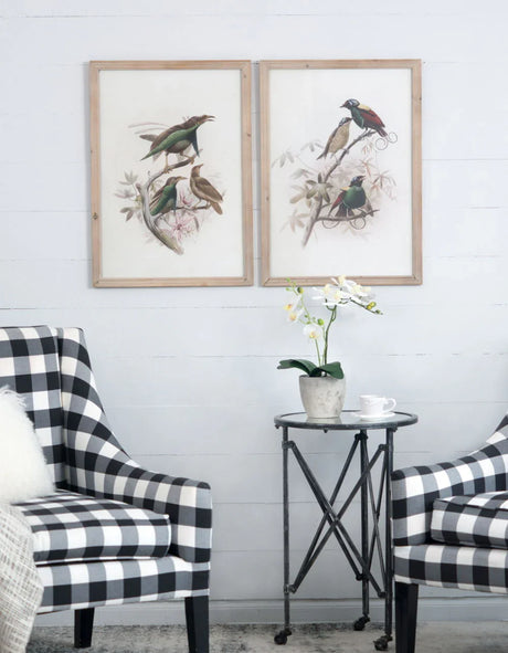 Bird Framed Print (Set of 2) - Multicolor - Furniture Home Direct
