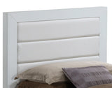 Transitional Modern Design Bed - Furniture Home Direct