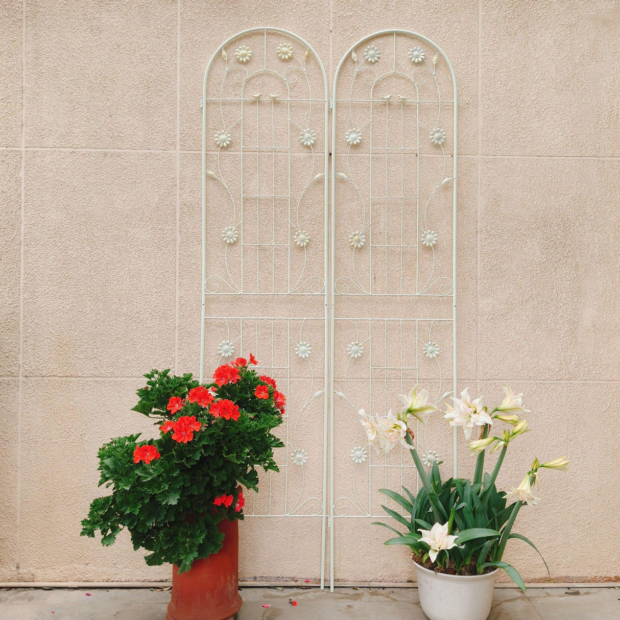 Metal Garden Trellis Rustproof Trellis For Climbing Plant Outdoor Flower Support - Furniture Home Direct