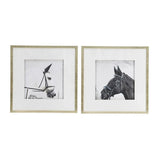 Wall Art Horse Animal Printing, Wall Decor Accent (Set of 2) - Golden / White - Furniture Home Direct