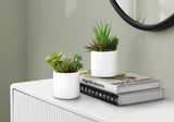 7" Faux Decorative Succulent (Set of 2) - Green / White - Furniture Home Direct
