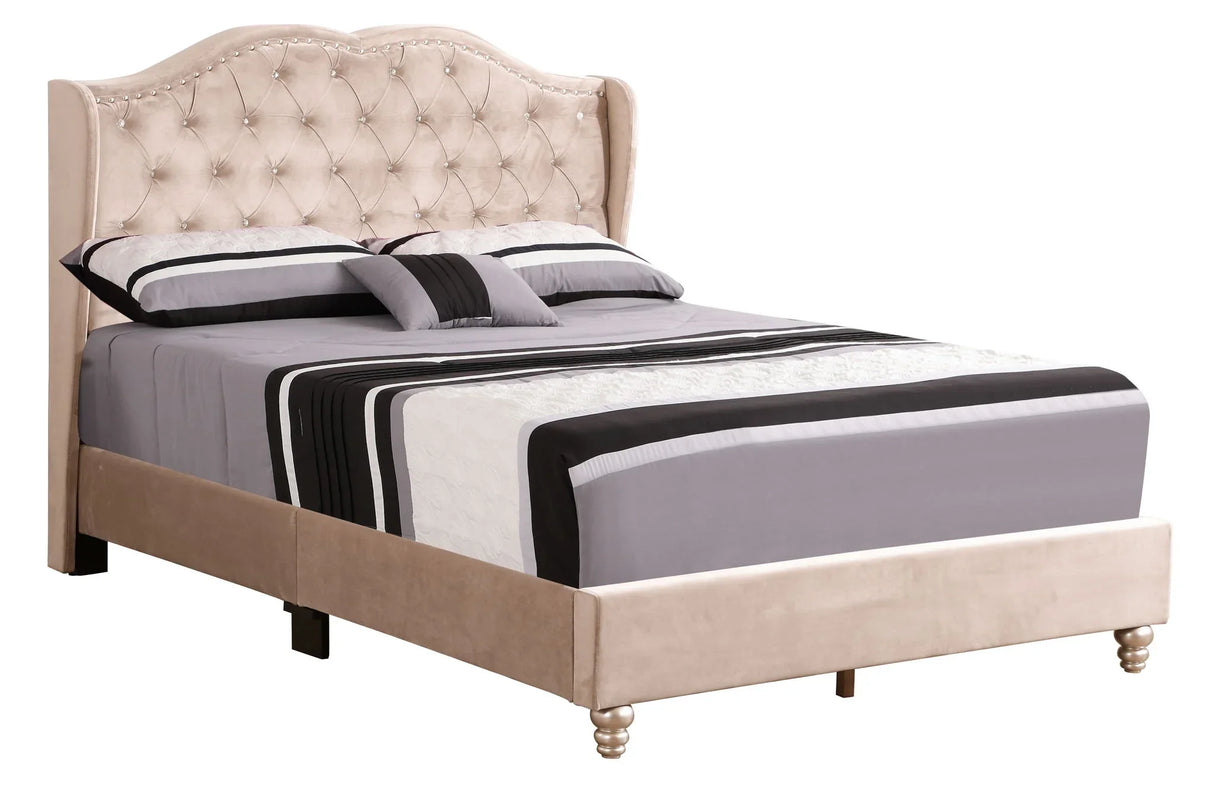 Upholstered Velvet Bed Transitional - Furniture Home Direct