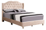 Upholstered Velvet Bed Transitional - Furniture Home Direct