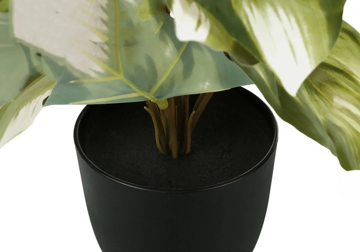 13" Tall, Artificial Plant, Monstera Calthea, Indoor, Faux, Fake, Table, Greenery, Potted, Decorative (Set of 2) - Green / Black - Furniture Home Direct