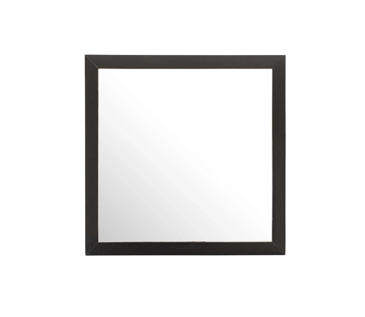 Modern Design Transitional Wall Mirror - Furniture Home Direct