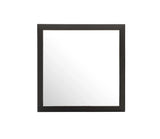 Modern Design Transitional Wall Mirror - Furniture Home Direct