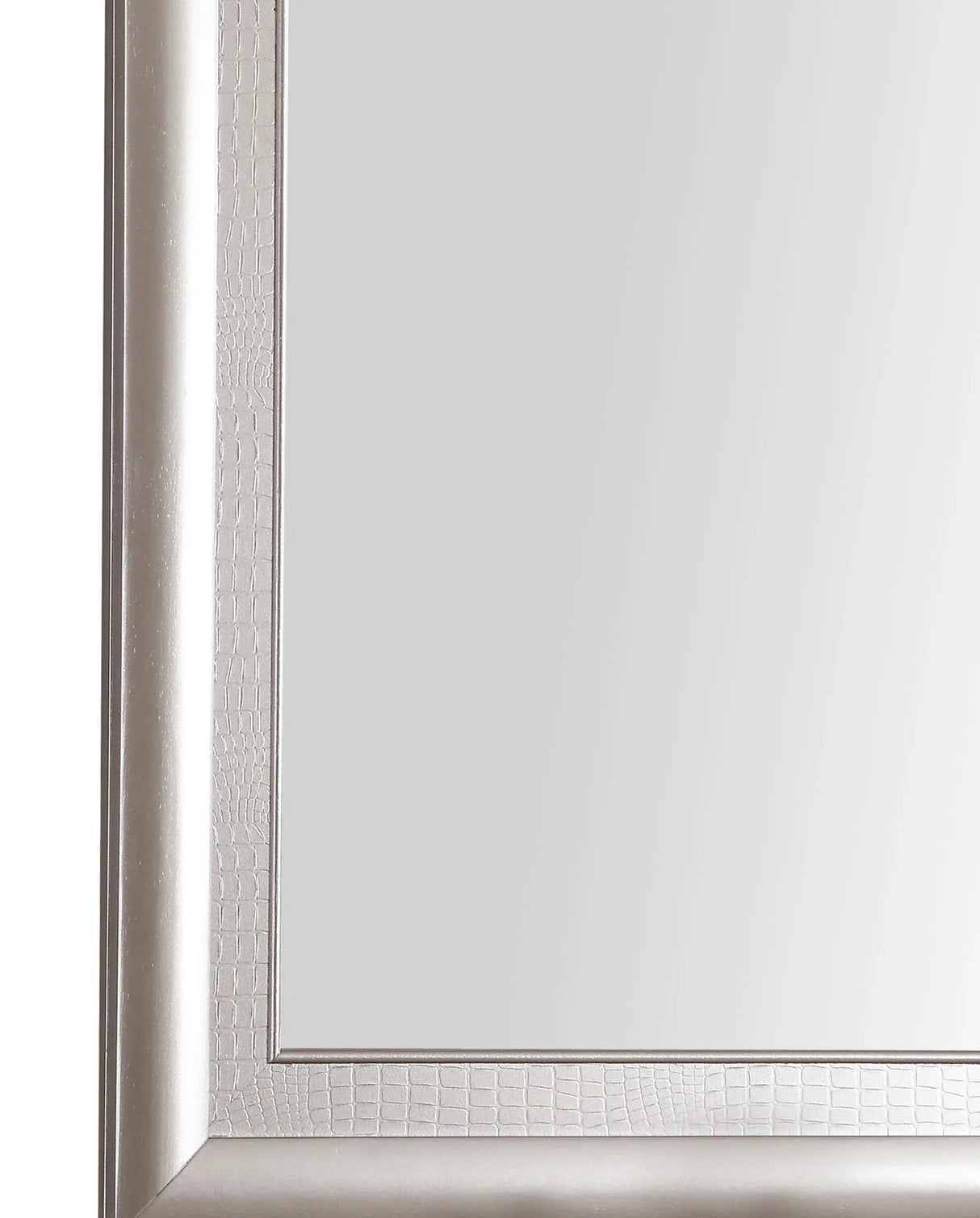 Kat - Mirror - Silver Champagne - Furniture Home Direct