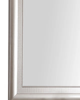 Kat - Mirror - Silver Champagne - Furniture Home Direct