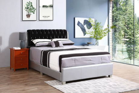 Marilla - Upholstered Bed - Furniture Home Direct